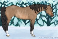 Horse Color:Bay Dun Rabicano 