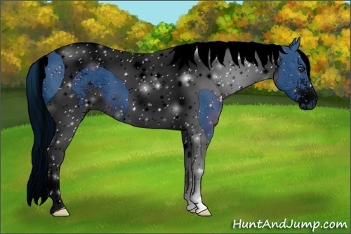 Horse Color:ERROR: UNKNOWN ANOMALY
