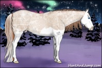 Horse Color:Smoky Black Ice Pearl Splash 