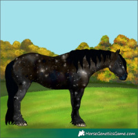 Horse Color:ERROR: UNKNOWN ANOMALY