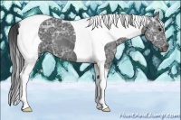 Horse Color:Smoky Black Ice Tobiano