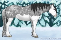 Horse Color:Blue Ice Roan Splash