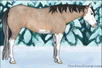 Horse Color:Bay Roan Dun Splash