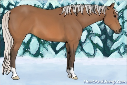 Horse Color:Silver Brown 