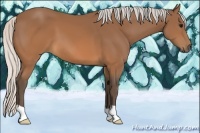 Horse Color:Silver Brown 