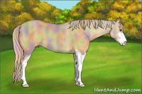 Horse Color:Nacre Palomino Dun Sabino