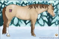 Horse Color:Bay Pearl Dun Rabicano 