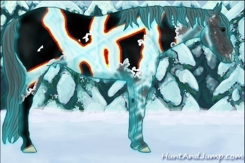 Horse Color:Thunderstruck Black Near Fewspot 