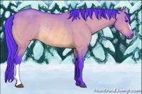 Horse Color:Watercolor Bay Dun Rabicano