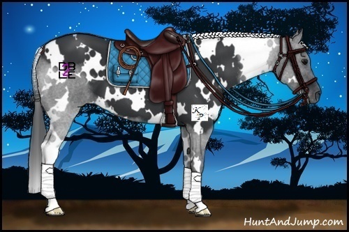 Horse Color:White Spotted Black 