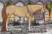 Horse Color:Red Dun Sabino