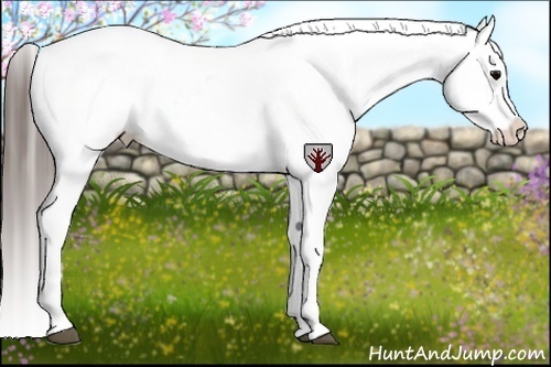 Horse Color:Grullo Roan Blanket