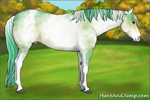 Horse Color:Watercolor White Spotted Buckskin 