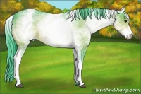 Horse Color:Watercolor White Spotted Buckskin 