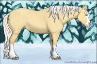 Horse Color:Silver Amber Cream Champagne Dun Sabino Splash 