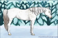Horse Color:White Spotted Sable Champagne Appaloosa 