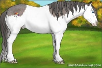 Horse Color:Liver Red Roan Splash Varnish 