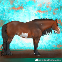 Horse Color:Bay Frame 