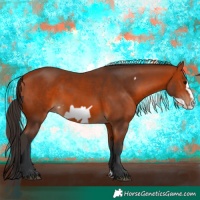 Horse Color:Bay Frame 