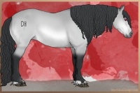 Horse Color:Bay Chinchilla 