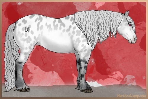 Horse Color:Bay Chinchilla Near Leopard 