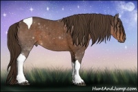 Horse Color:Liver Chestnut Tobiano 