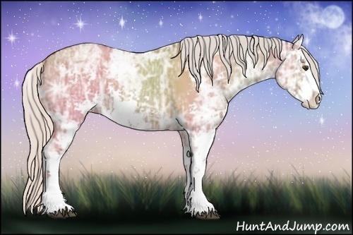 Horse Color:Silver Bay Ice Dun Sabino 