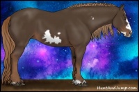 Horse Color:Liver Chestnut Frame