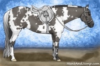 Horse Color:White Spotted Grullo Frame 