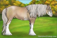 Horse Color:Silver Black Pearl Sabino