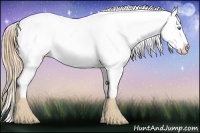 Horse Color:Gold Champagne Ice Pearl Varnish 