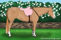 Horse Color:Chestnut Splash 