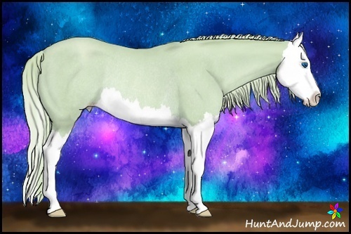 Horse Color:Watercolor Gold Champagne Roan Splash Rabicano 