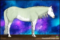 Horse Color:Watercolor Gold Champagne Roan Splash Rabicano 