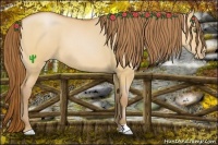 Horse Color:Bay Pearl Dun