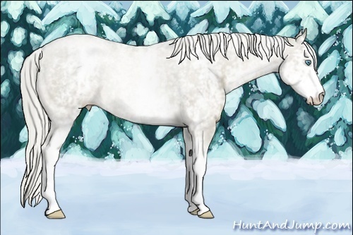 Horse Color:White Spotted Chocolate Palomino Pearl