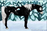 Horse Color:Palomino Pearl Sabino Frame 