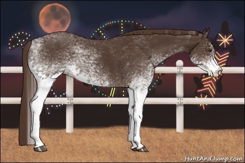 Horse Color:White Spotted Liver Chestnut 