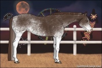 Horse Color:White Spotted Liver Chestnut 