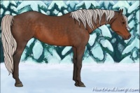 Horse Color:Silver Brown Sabino 