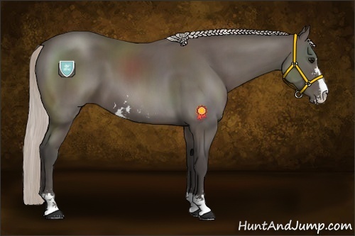 Horse Color:Silver Black Sabino 
