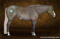 Horse Color:Silver Black Sabino