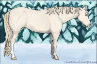 Horse Color:Perlino 