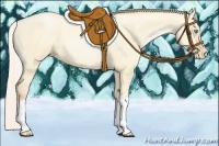 Horse Color:Silver Buckskin Pearl Dun
