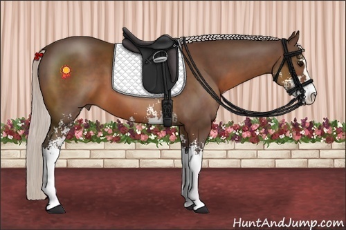Horse Color:Silver Brown Sabino 