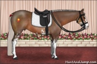 Horse Color:Silver Brown Sabino