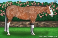 Horse Color:Bay Ice Splash 