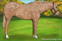 Horse Color:Chestnut Ice