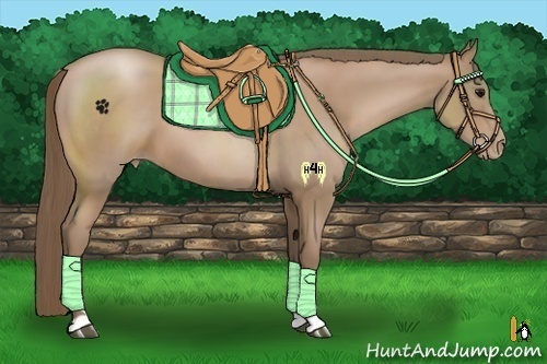 Horse Color:Black Pearl Sabino