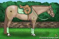 Horse Color:Black Pearl Sabino 